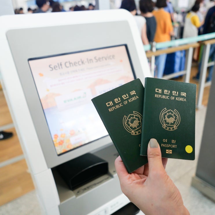  에바항공 좌석지정 및 기내식, 수화물, 셀프체크인 방법