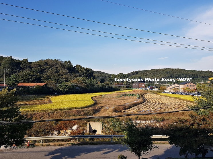 10월의 어느 멋진 날 용인 맛집 카페 투어; 미국식 BBQ Route889 & 카페 Comma 10월의 어느 멋진 날 용인 맛집 카페 투어; 미국식 BBQ Route889 & 카페 Comma