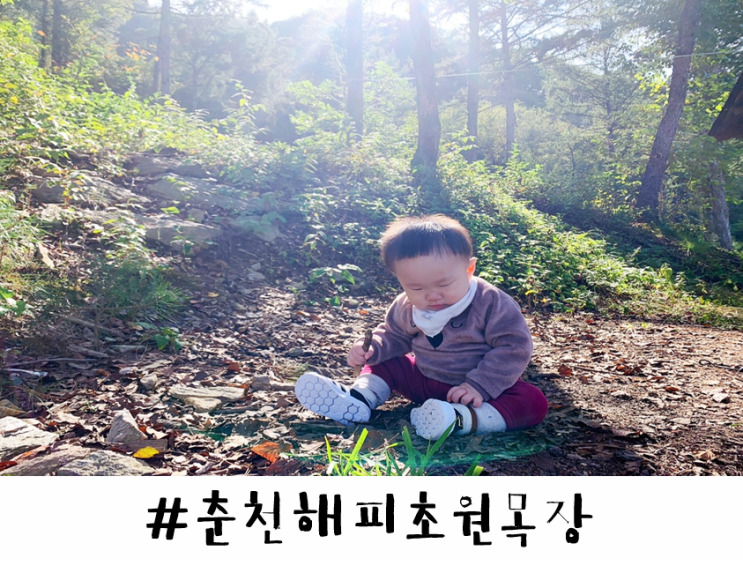  [#해피초원목장] 11개월 아기와 10월의 해피초원목장, 다 좋은데...