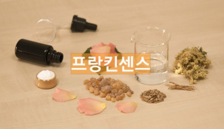  [아로마] 프랑킨센스 이야기
