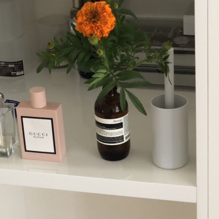  10월 일상 : 홀로서기, marigold
