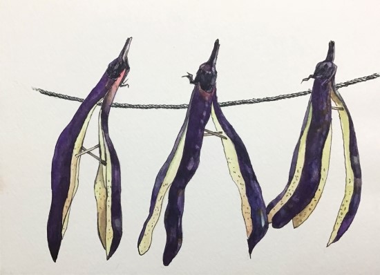  시골에선 닥치는대로...