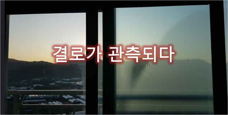  올해 첫 결로가 관측되다. 베란다곰팡이 벽지곰팡이를 초래하는 벽 결로_경기도 의정부시 장암동 빌라 벽지 곰팡이 제거 후 벽지 곰팡이 방지 단열벽지 시공