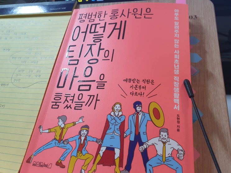  평범한 홍사원은 어떻게 팀장의 마음을 훔쳤을까 - 도현정