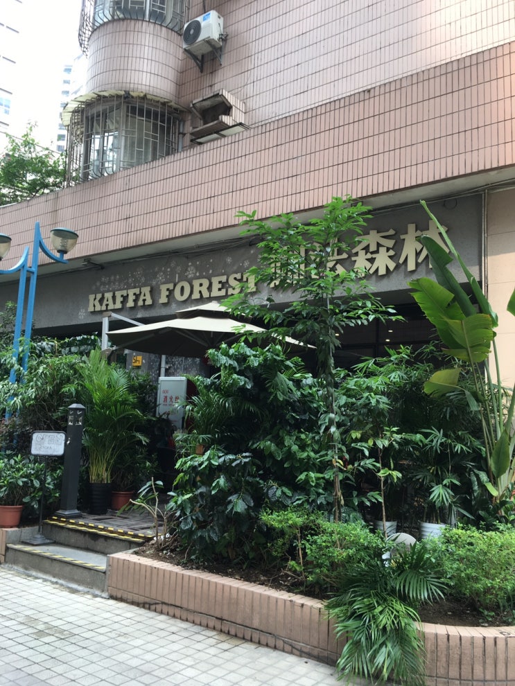  [중국광저우] 나만 알고 싶은카페, 광저우 KAFFA FOREST