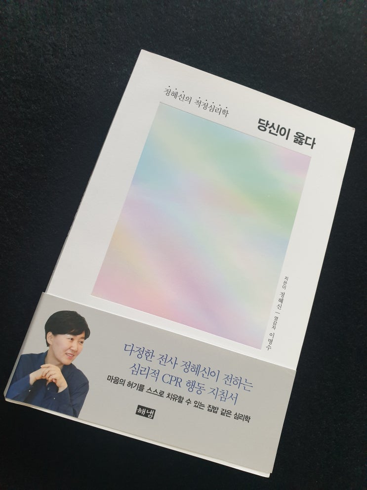  당신이 옳다, 정혜신의 적정심리학, 해냄