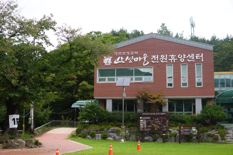  농촌체험여행 경북칠곡 가산산성마을 고구마캐기