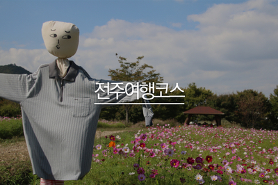  전주 갈만한곳 양묘장 코스모스, 한국도로공사수목원까지