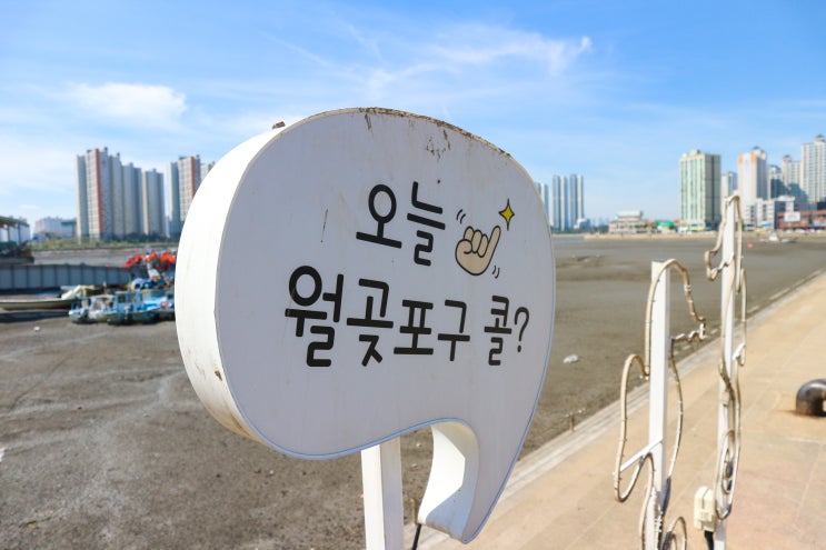  시흥 월곶포구 해안 산책로에서 만난 저어새, 그리고 북카페 월곶동 책한송이 (월곶둘레길, 시흥 월곶포구축제가 열리는 곳, 시흥 가볼만한곳)