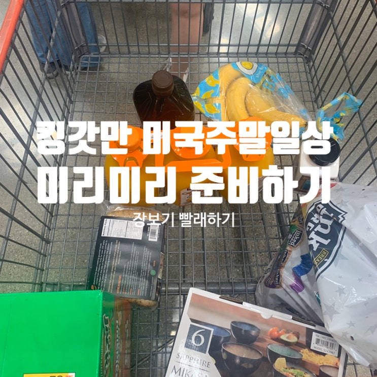  미국주말일상 코스트코 장보고 만난 반가운 얼굴들!