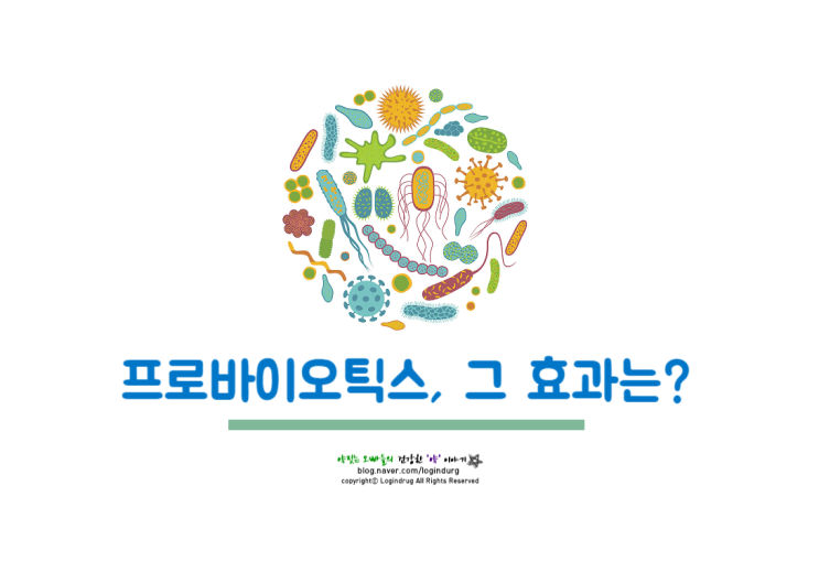  유산균 프로바이오틱스 효과, 개인적인 생각 락토핏 vs 약국유산균