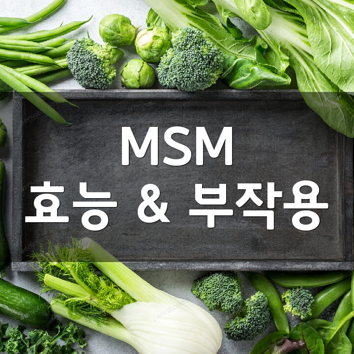 MSM (식이유황) 효능, 부작용, 권장량, 제품 순위