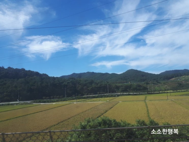  남도 기운 받고 올라갑니다~~^^