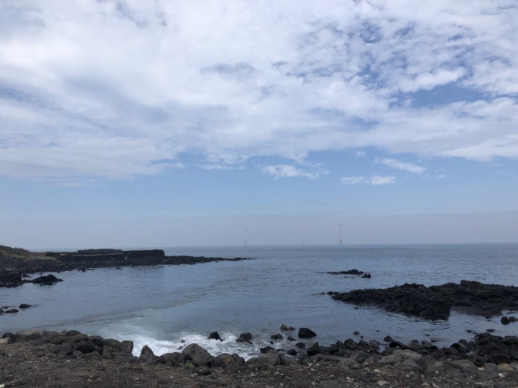  애정의 제주