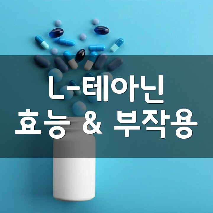  L-테아닌 (Theanine) 효능, 부작용, 권장량, 제품 순위