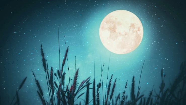  달빛 아래에서 듣는 잠잘오는음악  수면음악, 수면유도음악, 불면증에 좋은 음악, 꿀잠, 불면증극복 음악