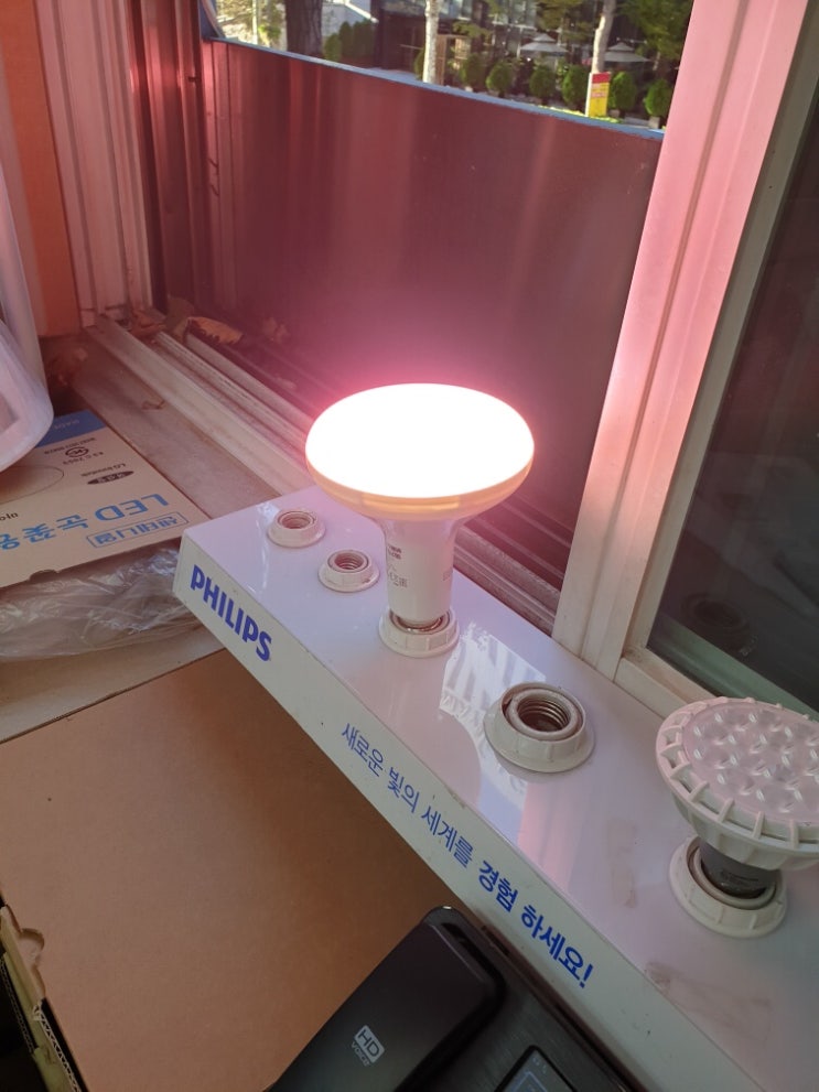  필립스 식물등 2차 공구 시작합니다