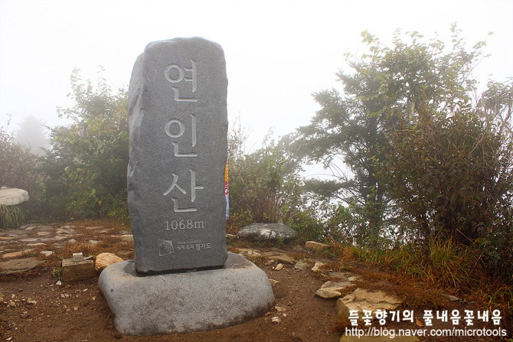  [가평53산] 옥녀봉~노적봉(구나무산)~바른골봉~장수봉~연인산~전패봉 연결종주