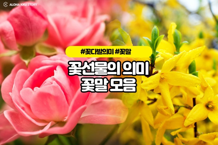 꽃말 모음 선물하는 꽃 의미알면 더 감동! 꽃말 모음 선물하는 꽃 의미알면 더 감동!