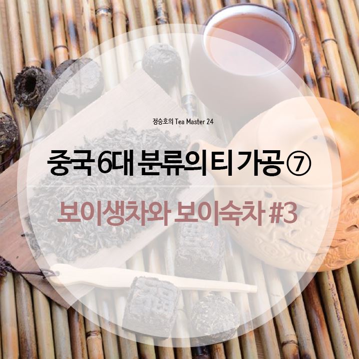 호텔앤레스토랑 -  중국 6대 분류의 티 가공 ⑦_ 보이생차와 보이숙차 #3 자연적 발효의 보이생차와 인위적 발효의 보이숙차