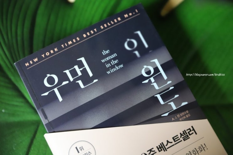 스릴러소설추천 장편소설 우먼인윈도 후기