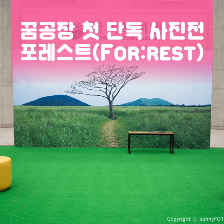  사진전 알림 - 국회도서관 포레스트(For:rest) l 10월 25일(금)까지
