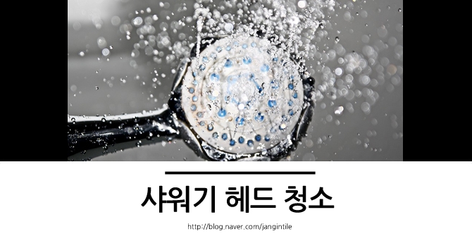  샤워기 헤드 청소 우리 몸은 소중하니까