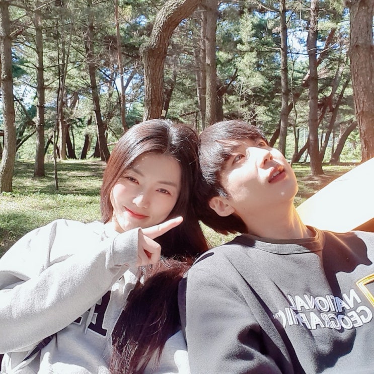  경남 밀양 기회송림공원야영장, 애완동물도 입장 가능!    피톤치드 뿌•ɞ•