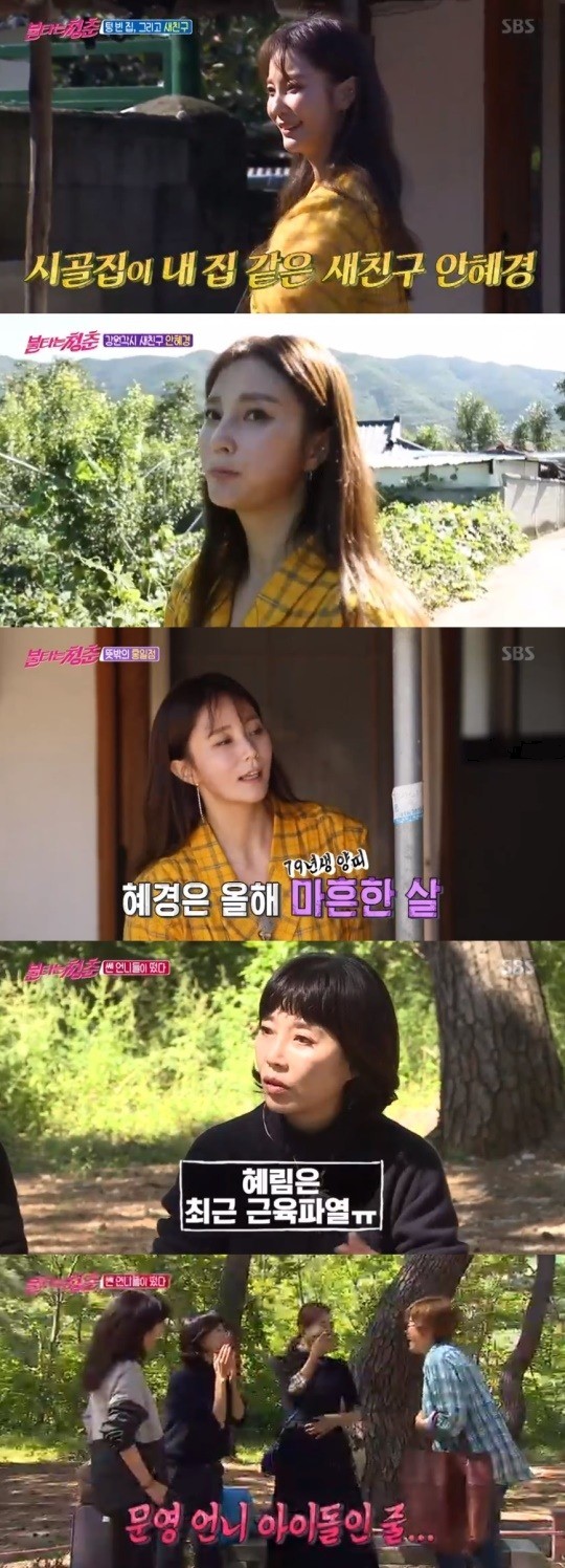 '불타는 청춘' 최연소 출연자로 안혜경 등장..."올해 나이 41세" '불타는 청춘' 최연소 출연자로 안혜경 등장..."올해 나이 41세"
