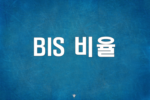  BIS비율, 무슨말일까?