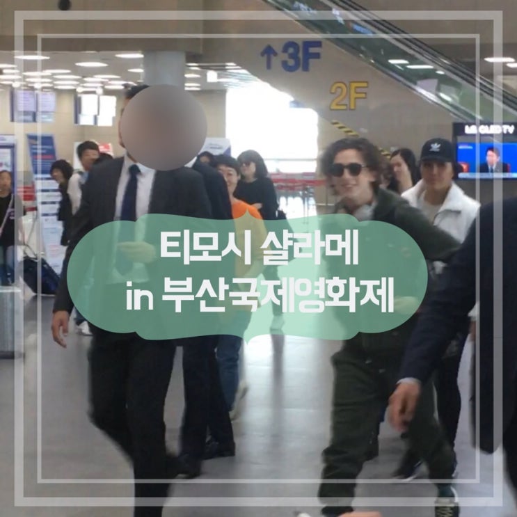 부산국제영화제와 김해국제공항에서 <더 킹> 티모시 샬라메 본 후기 !