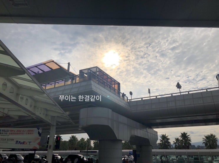  제주공항 에서 출발해서 건입동 들렸다가 “팔복고기상회” 맛있게 아점먹고 해변도로 다녀보기