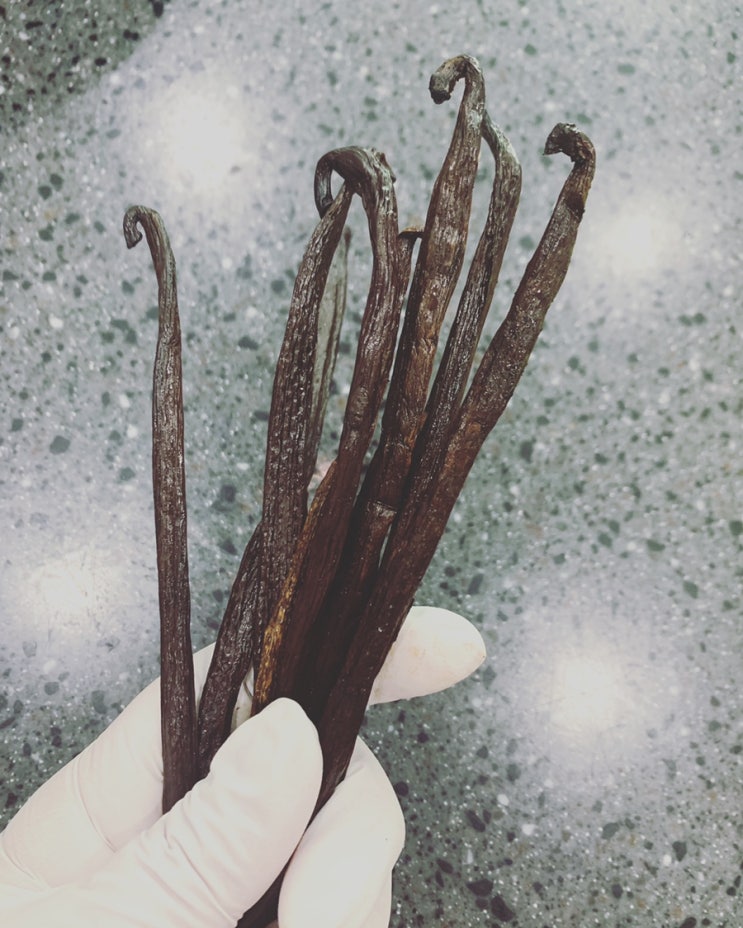  바닐라 익스트랙