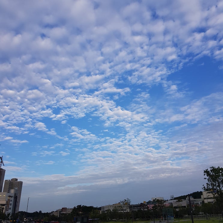  9월 일상_2