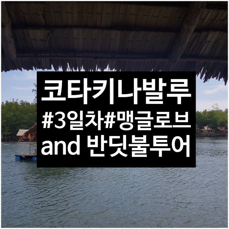  [고미부부 휴가프로젝트] 말레이시아 코타키나발루 - 3일차 (맹글로브투어/라야라야비치/반딧불투어)