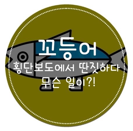 꼬등어의 좌충우돌 생존 이야기 - 횡단보도에서 딴 짓 하면 안 되는 이유