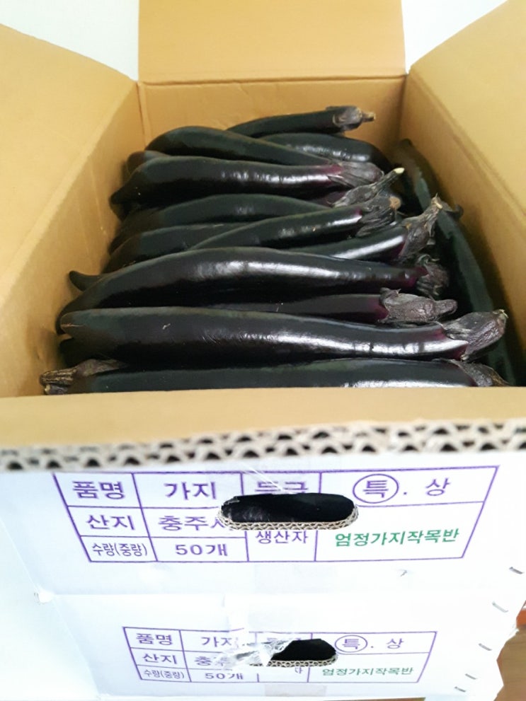  가지차 만들기