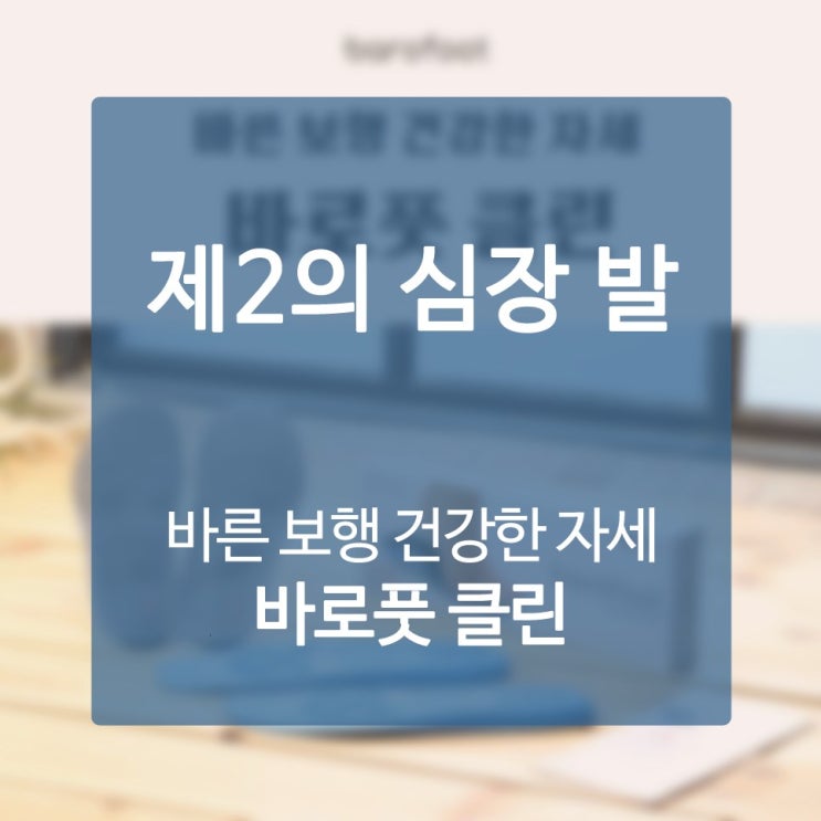  전문등산화 온종일 돌아다녀서 아파 돌아가실 것 같은 발바닥을 위한 파반느