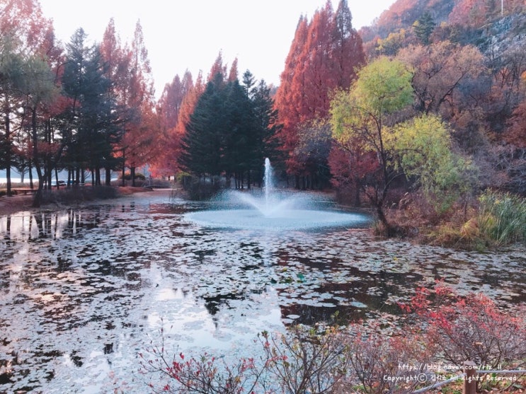  안동가볼만한곳 | 안동댐 비밀의 숲, 상아동 낙강물길공원