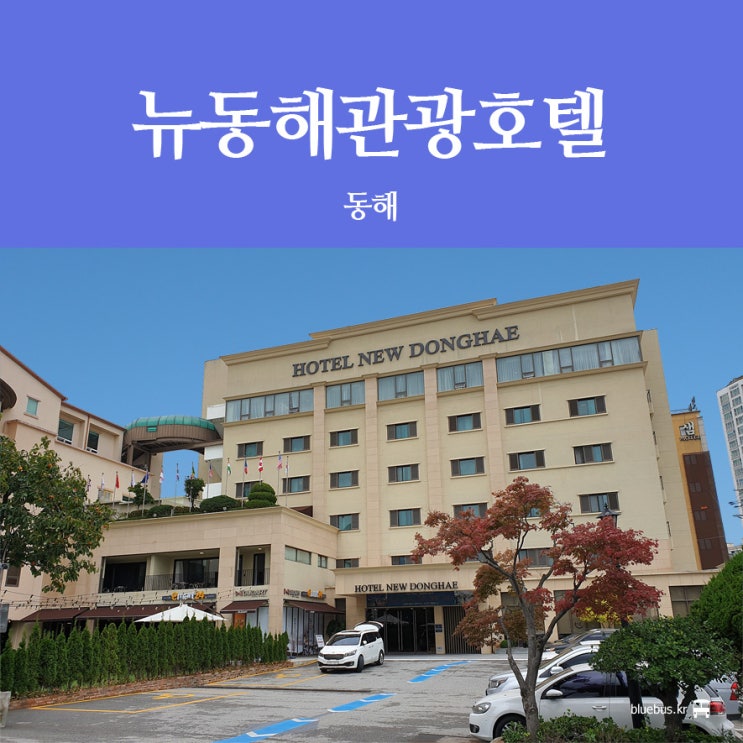  [동해호텔] 뉴동해 관광호텔 주니어 스위트룸 조식 후기
