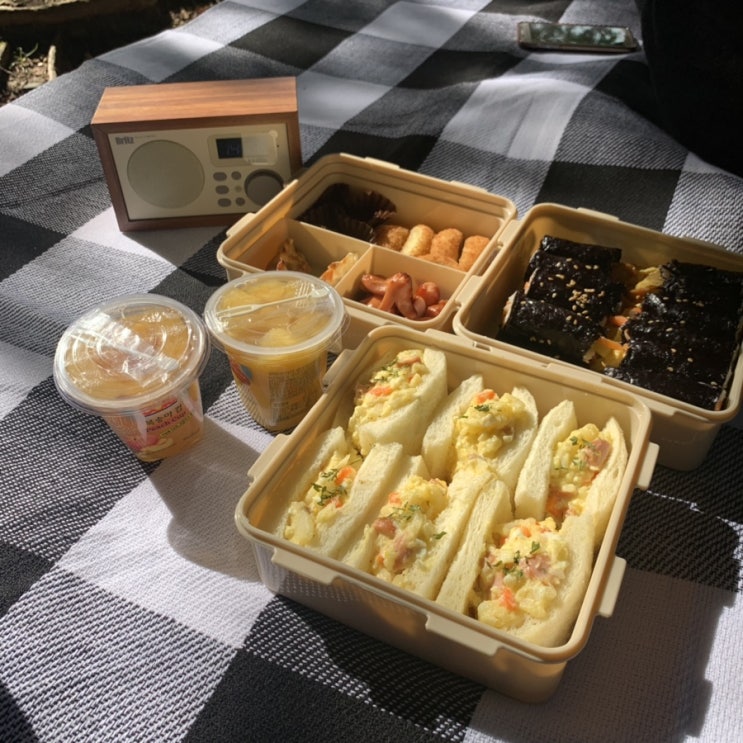  [일상] 소풍가는 날️ 금강로하스 핑크뮬리보고 대청공원에서 점심식사~(Feat 저녁은 글램디..)