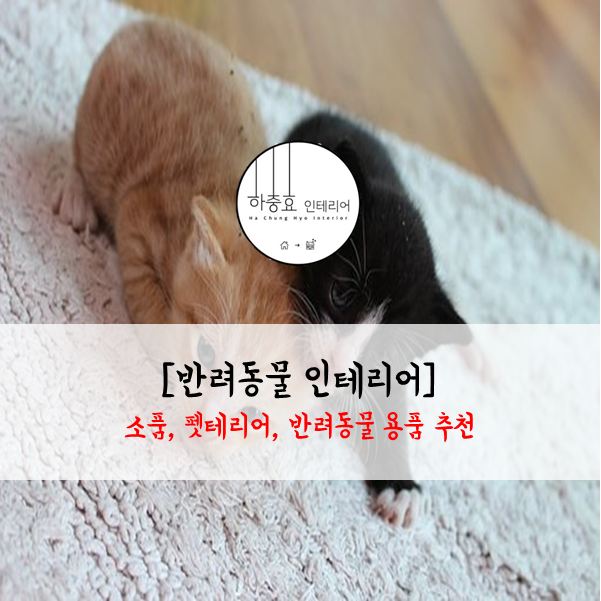  [반려동물 인테리어] 추천, 펫테리어, 반려동물 용품, 반려동물 식기, 캣타워 추천, 반려동물 정수기