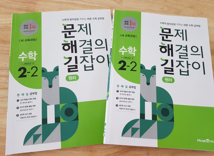  엄마표수학]문제해결의길잡이 원리편