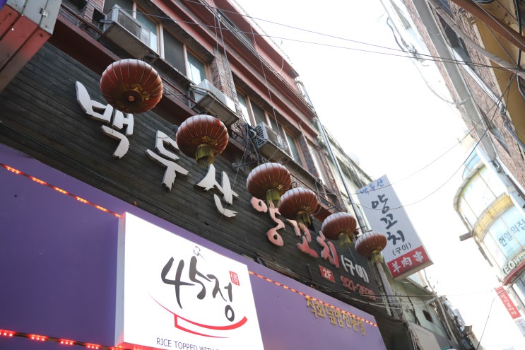  성신여대 맛집 양꼬치하면 여기지!