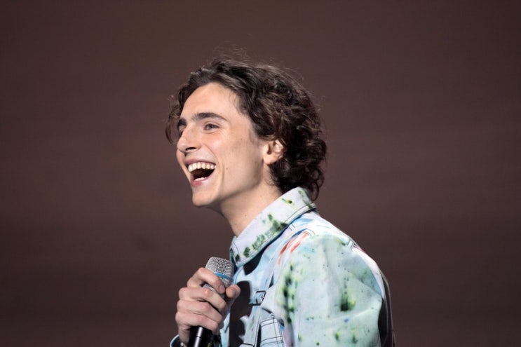  티모시 샬라메 Timothée Chalamet