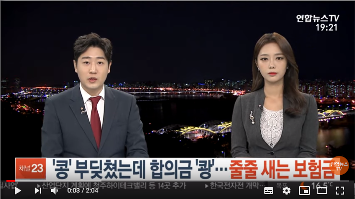 콩' 부딪쳤는데 합의금 '쾅'…줄줄 새는 보험금 / 연합뉴스TV