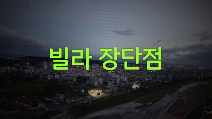  빌라 장단점 이해