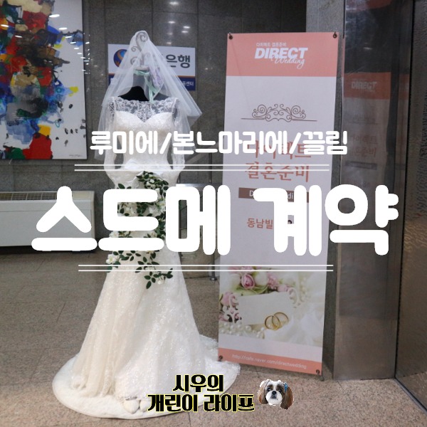  다이렉트결혼준비 웨딩박람회 방문, 스드메 견적공유 (루미에/본느마리에/끌림)