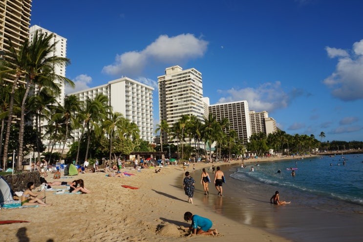  하와이 알로힐라니 리조트 후기  Alohilani Resort Waikiki Beach