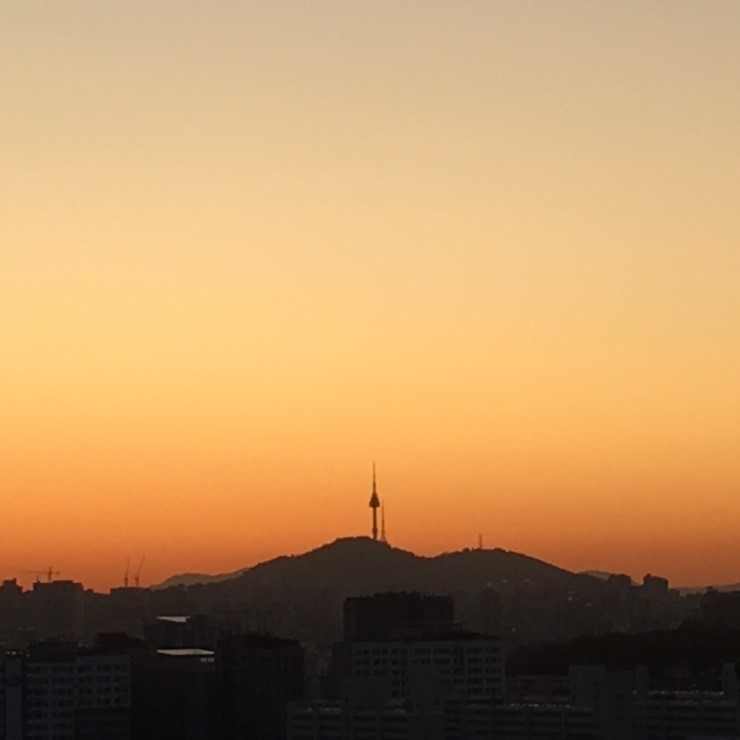  이른아침 데이트_미리 다녀온 하늘공원 억새축제